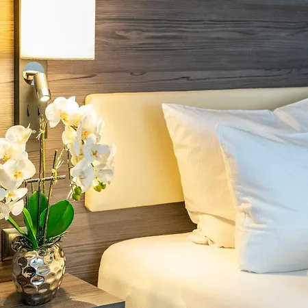 Plaza Buchhorner Hof 4*