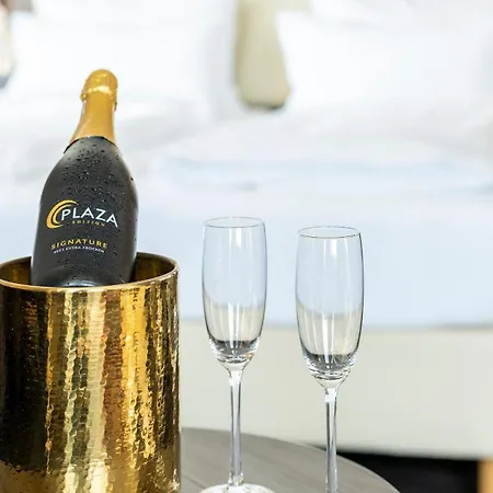 Hotel Plaza Buchhorner Hof 4*