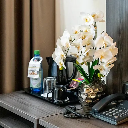 Plaza Buchhorner Hof 4* Friedrichshafen