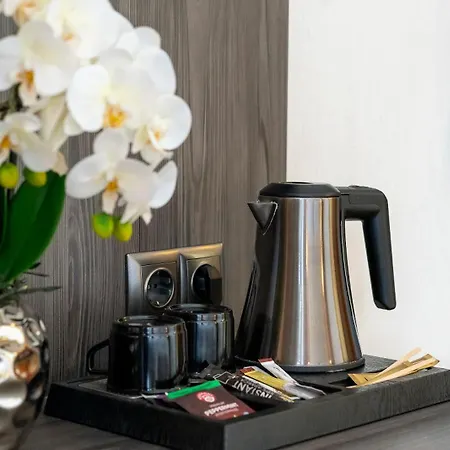 Plaza Buchhorner Hof Hotel 4*