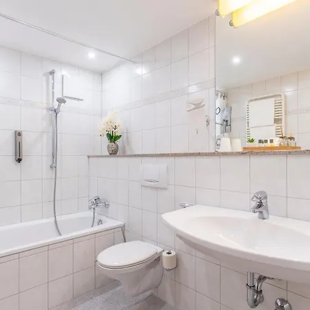 מלון Plaza Buchhorner Hof פרידריכסהאפן