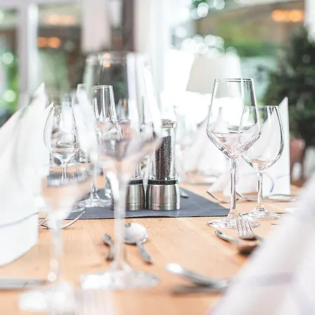 Plaza Buchhorner Hof