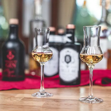 Plaza Buchhorner Hof 4*