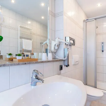 Plaza Buchhorner Hof 4*