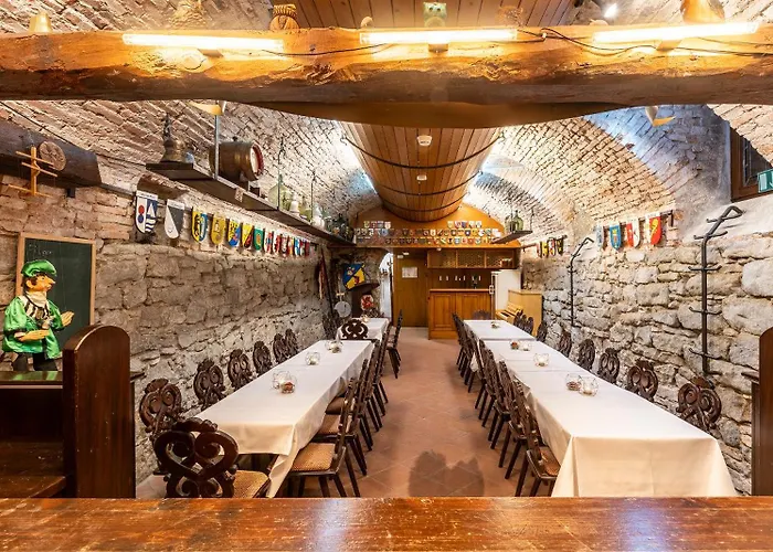 Plaza Buchhorner Hof 4*