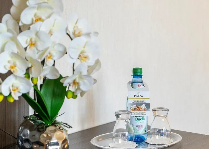 Plaza Buchhorner Hof Friedrichshafen