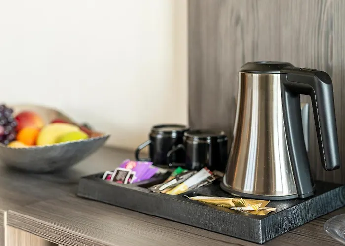 Plaza Buchhorner Hof Hotel 4*