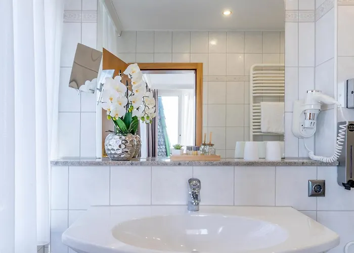 Plaza Buchhorner Hof