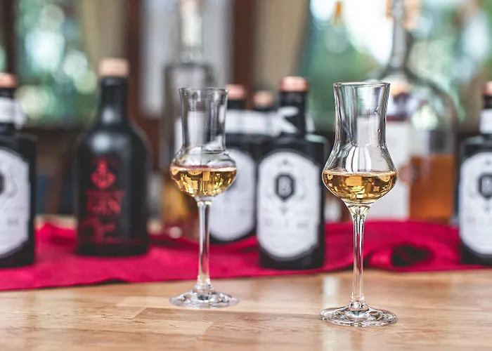 Plaza Buchhorner Hof 4*