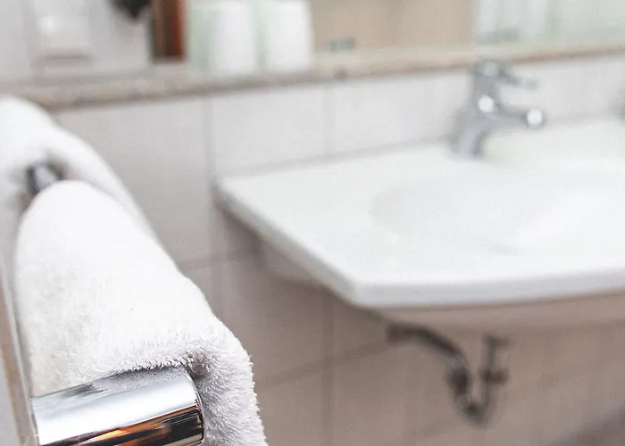 Hotel Plaza Buchhorner Hof