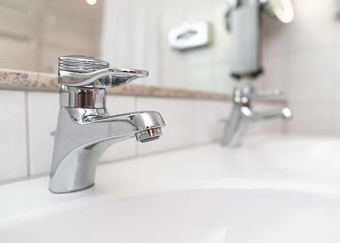 Plaza Buchhorner Hof Hotel 4*