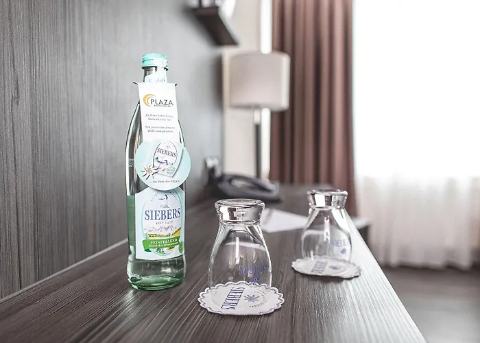 Hotel Plaza Buchhorner Hof 4*